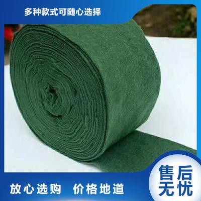 园林养护的“保暖衣” 大树裹树布全解析