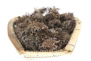 维西特产 深山之珍——树花菜（裹树布），500克装天然美味